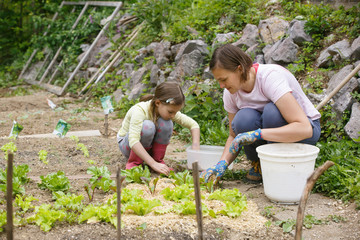 Naklejka na ściany i meble Mother and daughter working in the vegetable garden