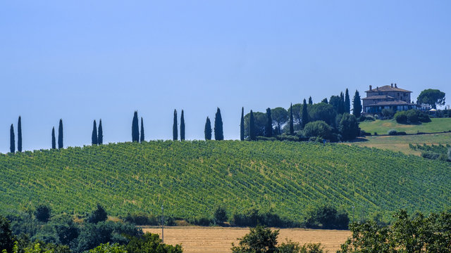 Landscape in Umbria near Todi