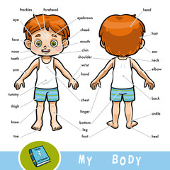 Visual dictionary for children about the human body. My body parts for a boy.