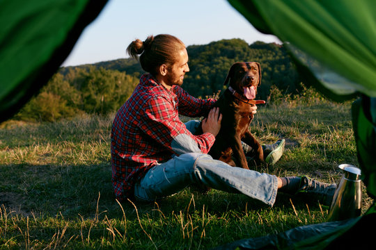 Man Traveling With Dog, Camping In Nature.