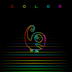 Colorful art chameleon