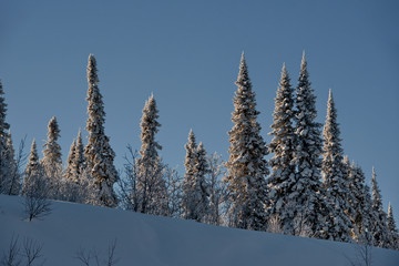 Russia. The South Of Western Siberia. Frosty dawn in Mountain Shoria.