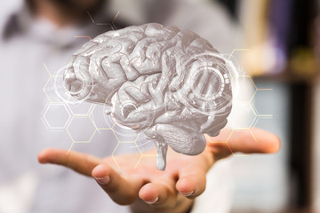 brain