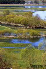 Panoramic view of wetlands and meadows with trees by the Narew river in Poland