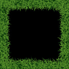 Grass frame illustration