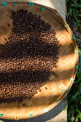Organic roaster coffee beans on bamboo threshing basket.