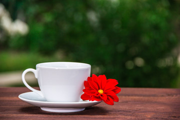 White cup of tea and red flower on a wooden table in a green garden. Copy space. Blurred Background