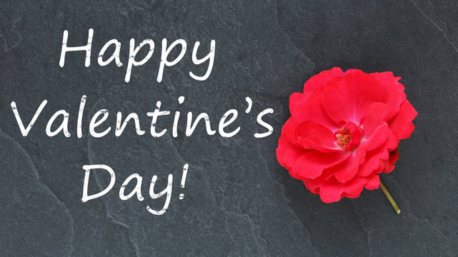 Happy Valentine's Day and red rose on a blackboard