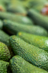 Zucchini