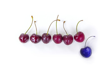 Red cherries in a row on a white background, one cherry ultra violet, stands out, the other.