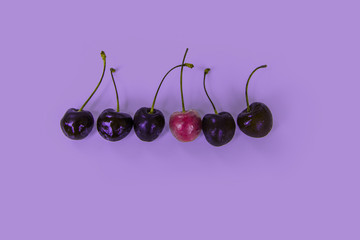 Ripe juicy cherries in a row, one berry of another color, red / violet tones, selection of cherries