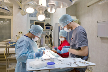 Veterinary surgeons make surgery for dog in the operating room of a veterinary clinic. Vets doing...