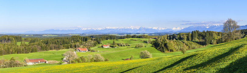 Fototapeta na wymiar sonniger Frühlingsnachmittag im Unterallgäu