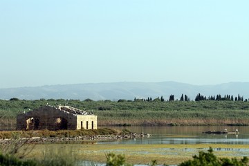 riserva naturale di vendicari, siracusa, sud della sicilia