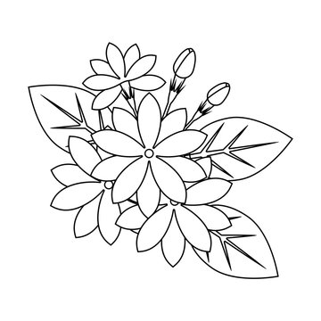 Jasmine Flower Drawing Easy // How To Draw Jasmine Flower // Easy Flower  Drawing // Pencil Drawing | Flower drawing, Easy flower drawings, Easy  drawings