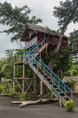 Fototapeta na wymiar House on a giant banyan tree with view to Yasur vulcano, Tanna, Vanuatu