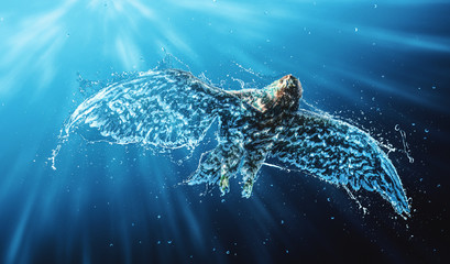 Flying eagle with underwater and splash effect