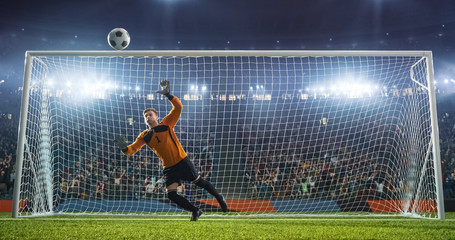 Soccer goalkeeper in action on the stadium