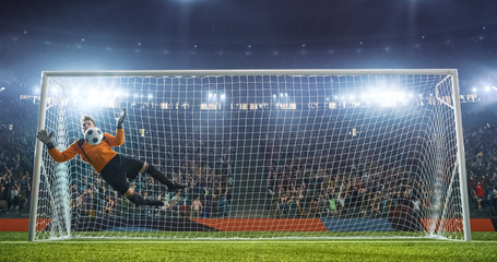 Soccer goalkeeper in action on the stadium