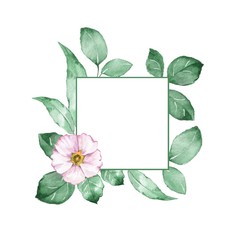Watercolor floral frame. Element for design. Watercolor background with white flower