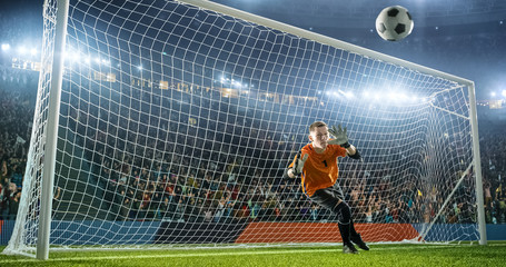 Soccer goalkeeper in action on the stadium