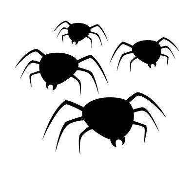 Plague of spiders