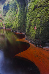 River-carved bedrock, Finnich Glen, Scotland