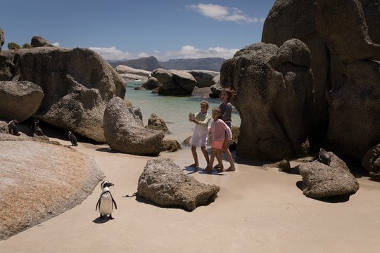 Siblings taking picture of penguin at beach