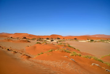 Sossusvlei, le désert namibien