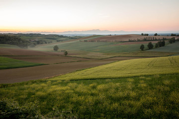 View of the Langhe hills in Piedmont, Italy.