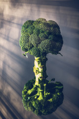 Broccoli branche reflected in a mirror on gray background.