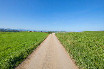 Fototapeta na wymiar landscape straight rural lonely dirt road between green fields in countryside of Cantabria, Spain, Europe. Vibrant colors 