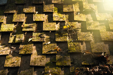 Moss on the roof, old wooden house with sunlight.Thailand.