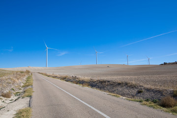 Fototapeta na wymiar rural road next to wind power turbines on winter meadow near to Ampudia town, in Palencia Spain 