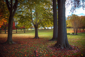 Autumn in a Pennsylvania park