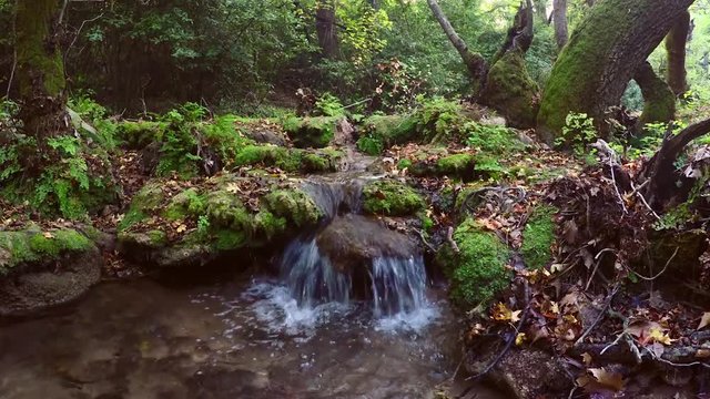Beautiful small brook. Marmaris, Turkey.