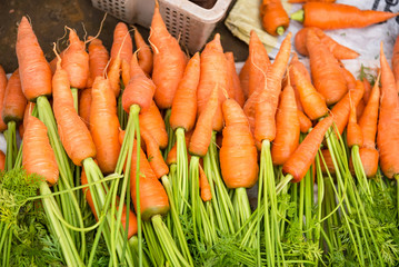 Group of fresh baby carrots in morning market.Thailand.