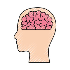  human head face brain science mind intelligence vector illustration