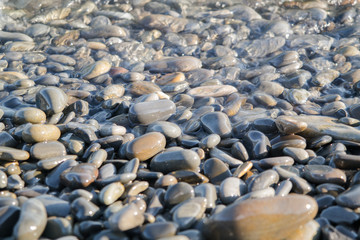 Wet stones on the sea shore