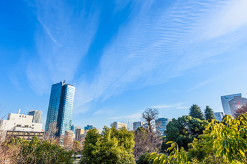 Fototapeta premium 都市風景