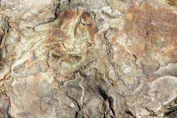 stone surface with the natural pattern and stains close up