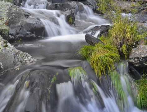 Detalle r&iacute;o en primavera con sus brotes verdes y el agua cristalina corriendo entre las piedras