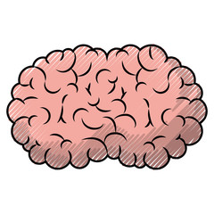  brain science mind intelligence mental design creative think vector illustration