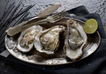 Fresh oysters
