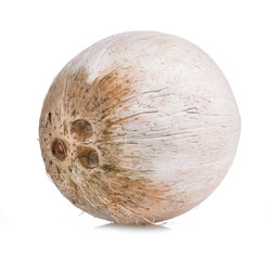 coconut food on white background.