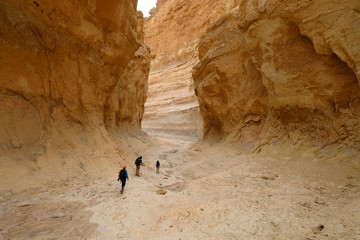 Three hikers traveling in deep dry gorge in Judea desert, Israel.