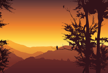 Fototapeta na wymiar Nature background. Colorful sunset in wild valley, mountain with trees - vector illustration 