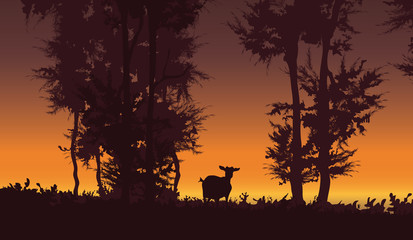 Nature vector background. Forest sunset landscape with goat illustration.