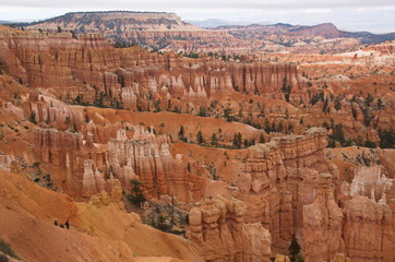 View from Navajo Trail in Bryce Canyon in Utah in the USA
