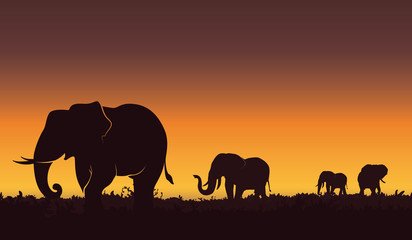 Fototapeta na wymiar Silhouette landscape illustration of a group of elephants. Beautiful sunset, Nature background - Vector illustration. 